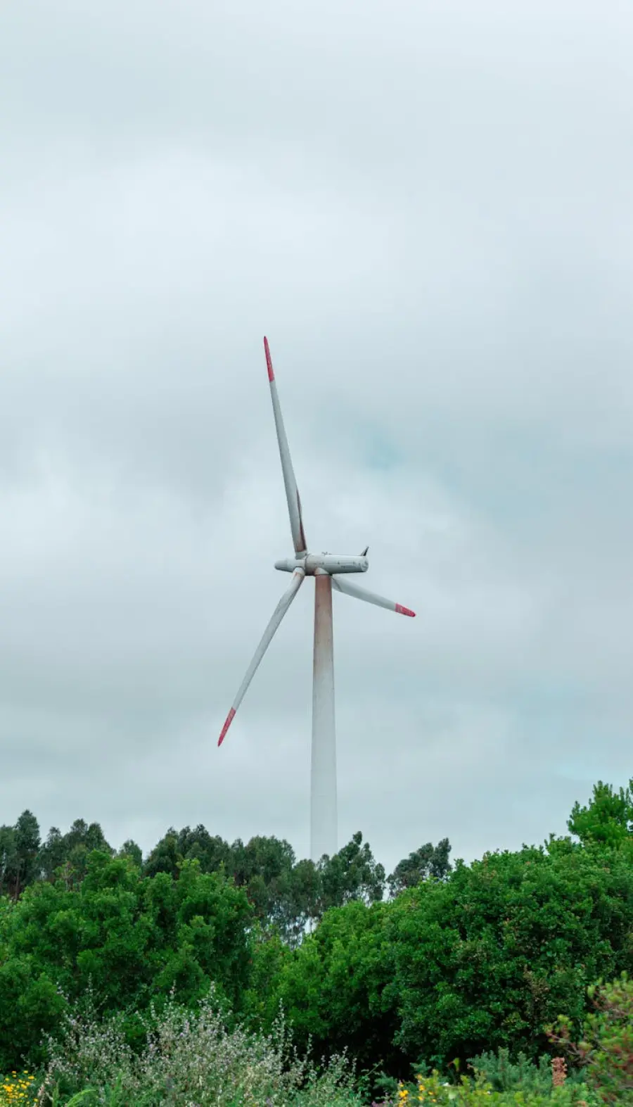 Cairo Montenotte, chiusure sulla SP12 per lavori alle pale eoliche