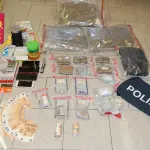 Savona, “bazar dello spaccio” in casa: due arresti e oltre 4 etti di droga sequestrati
