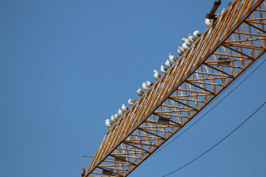 Regione Liguria, al via la sperimentazione per il Piano dei servizi e delle infrastrutture