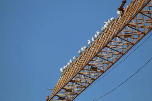 Regione Liguria, al via la sperimentazione per il Piano dei servizi e delle infrastrutture