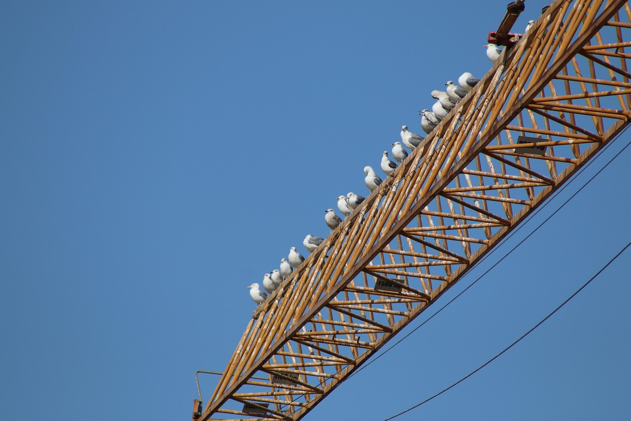 Regione Liguria, al via la sperimentazione per il Piano dei servizi e delle infrastrutture