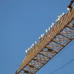 Regione Liguria, al via la sperimentazione per il Piano dei servizi e delle infrastrutture