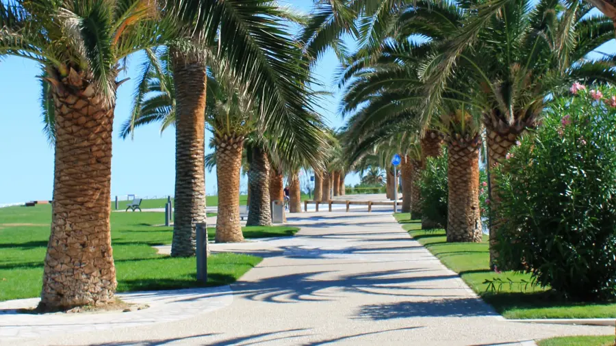 La Riviera delle Palme: guida alle spiagge tra Savona e Finale Ligure