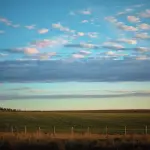 Regione Liguria: Pac 2023-2027, 428mila euro per l’informazione in agricoltura