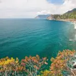 Festival di Sanremo, oltre 38 milioni di contatti per la cartolina della Liguria