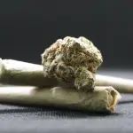 Savona, arrestato 39enne del Gambia per detenzione stupefacenti